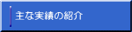主な実績の紹介